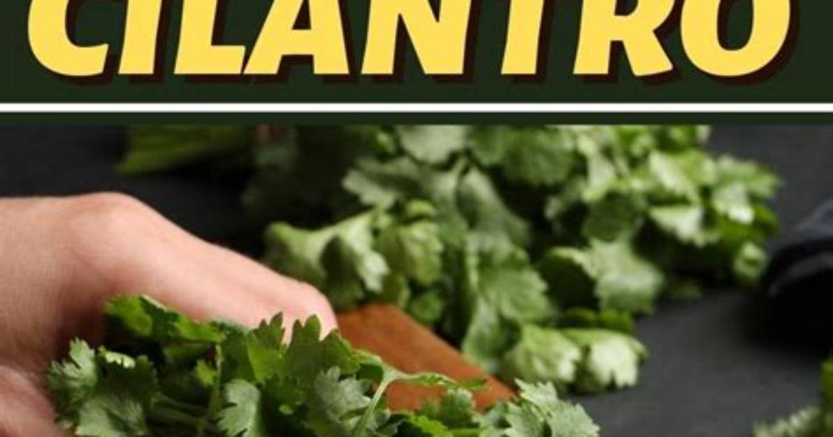 We Tested 4 Ways to Freeze Cilantro Visual Results After 30