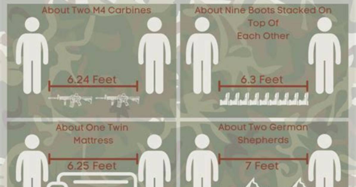 What 6 Feet Looks Like in Meters Visualizing The