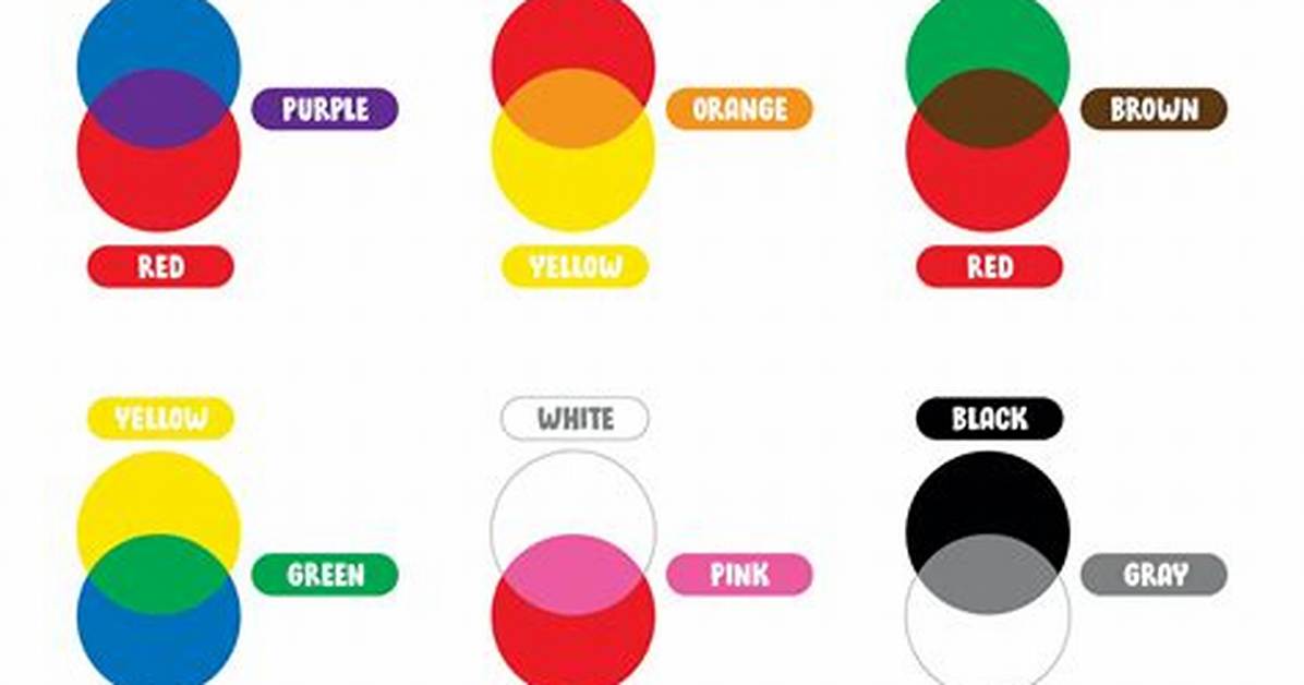 What Color Does Black and Orange Make the Definitive