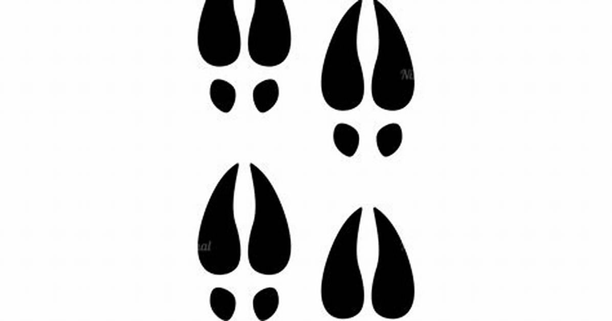 What Deer Prints In