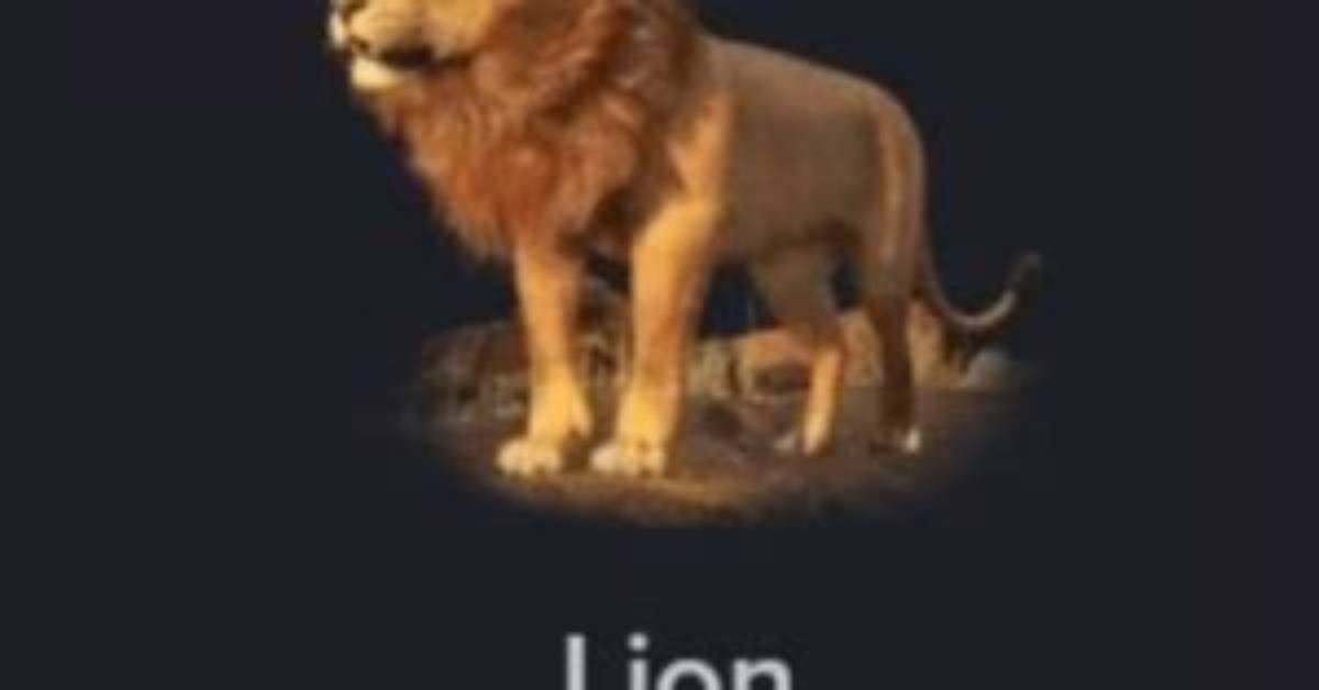 What Does a Tiktok Lion Cost Exact Coin Conversion and Live