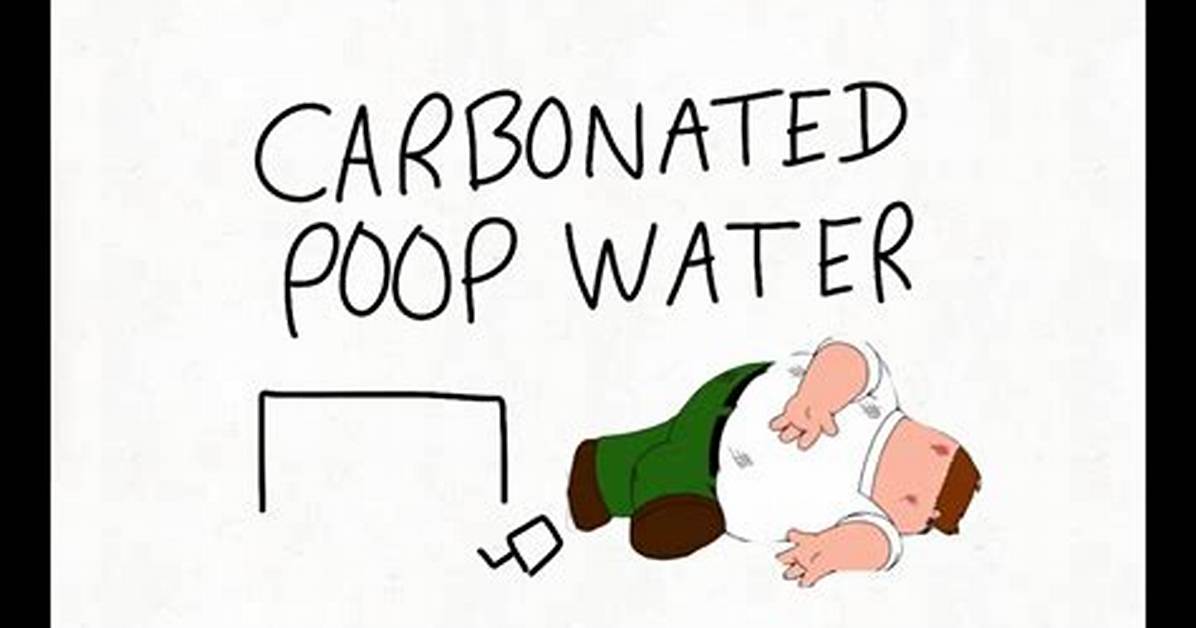 What Does Carbonated Poop Water Mean the Ultimate Guide to The