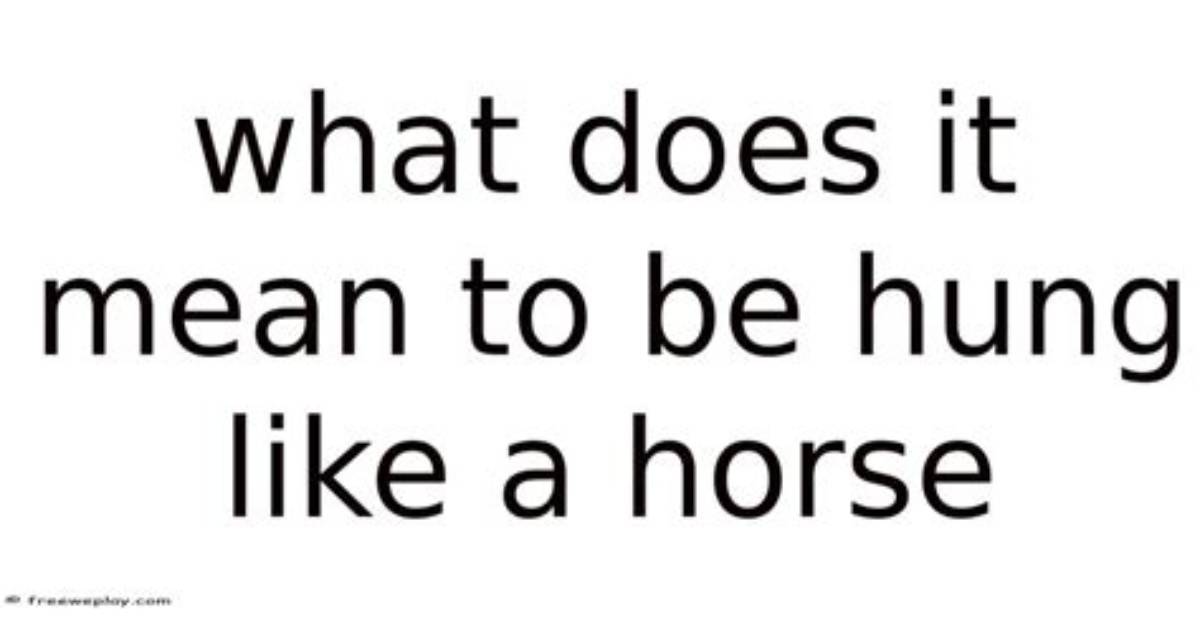 What Does Hung Like a Horse Mean the Provocative
