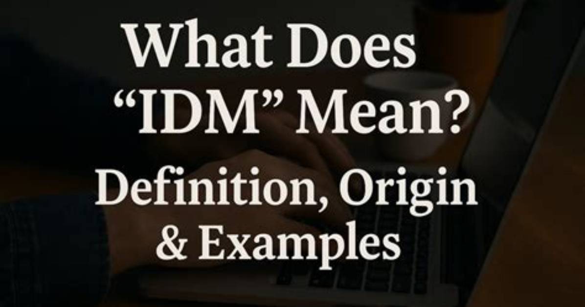 What Does Idm Mean In