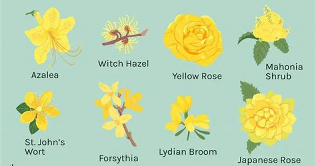 What Does Receiving Yellow Flowers Actually Mean Symbolism and Real
