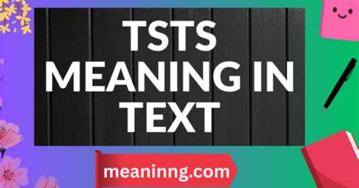 What Does Tsts Really Stand for Fact Checking Text Meanings Vs