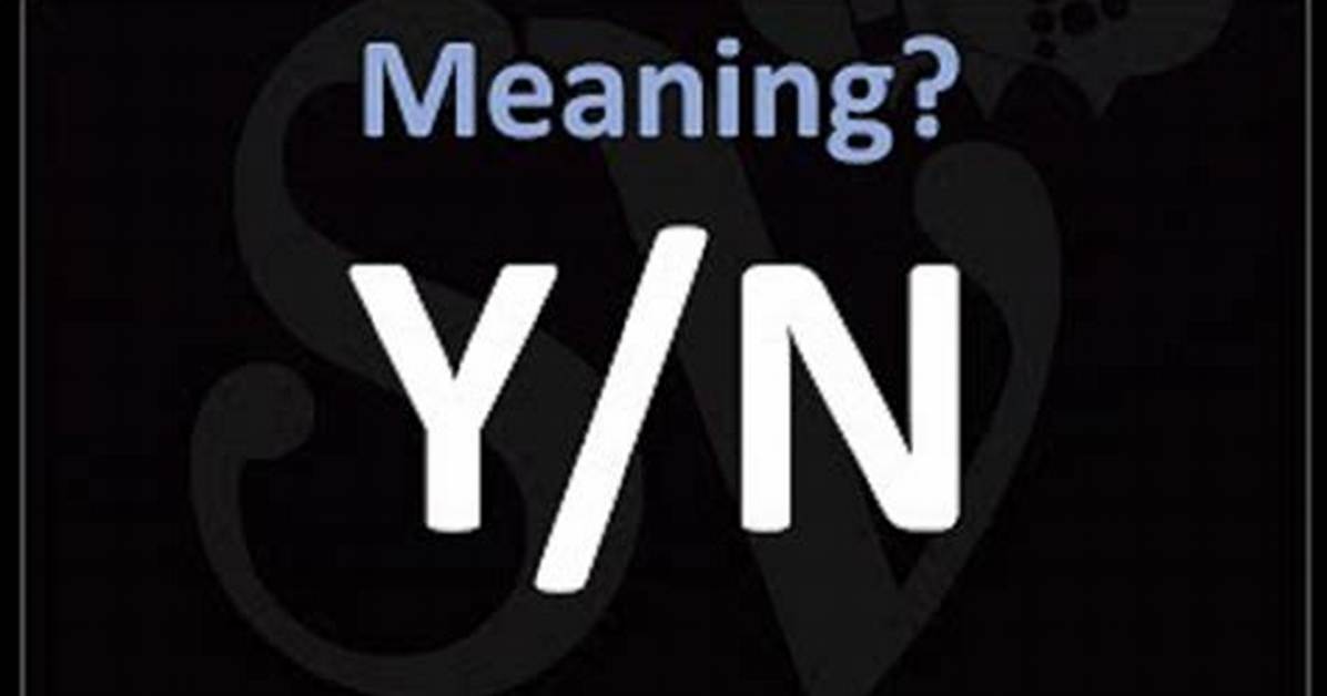 What Does Y N Mean and Why Are They Asleep the Truth Behind the Viral