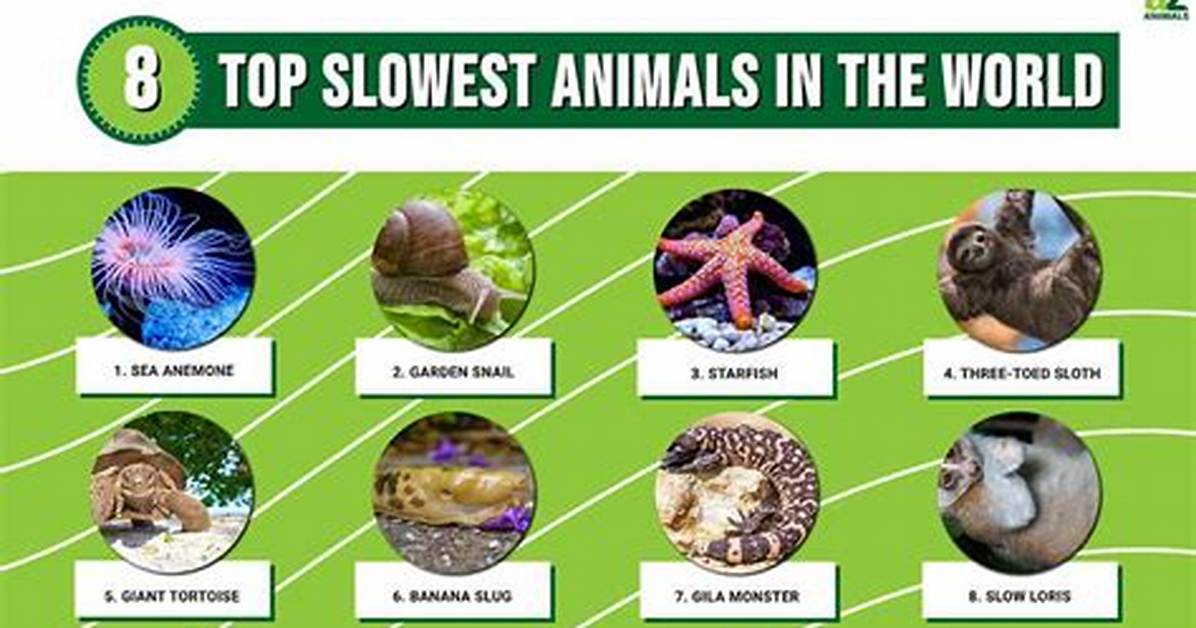 What Is Officially the World S Slowest Car the Bizarre Truth Behind 0 60 In