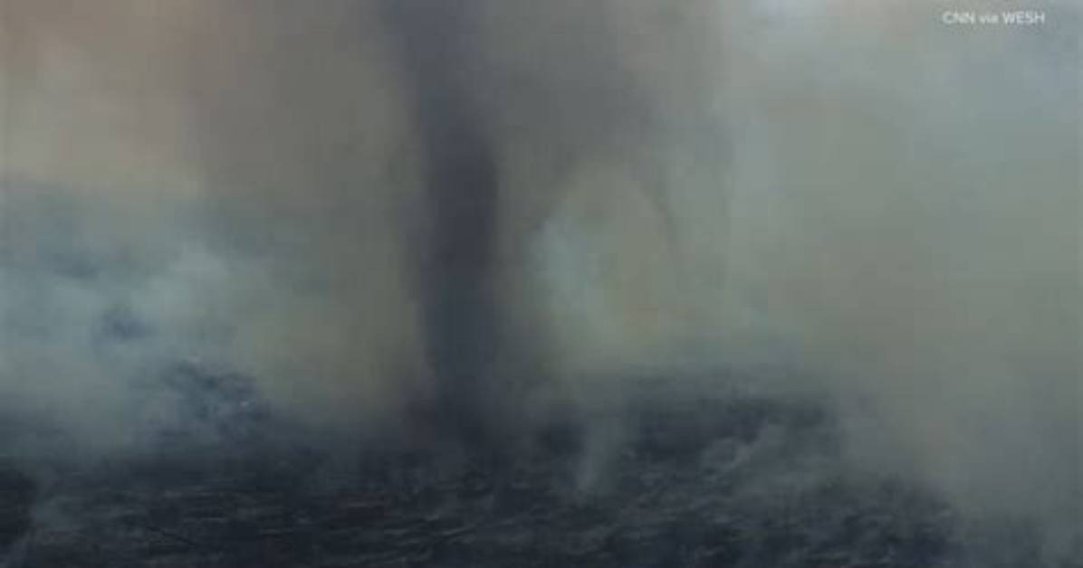 What Is That Called the Viral Phenomenon Driving Global Web