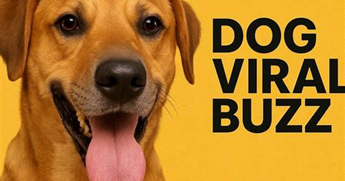 What Is the Bournise Mantanias Dog Viral Canine