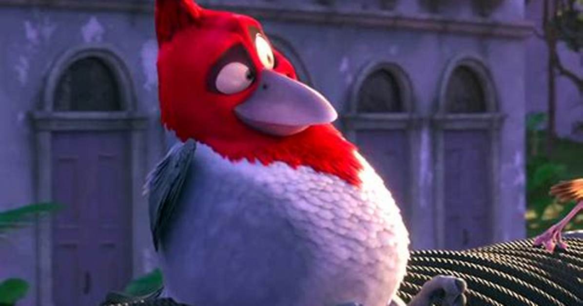 What Is the Rio Red Bird Fact Checking the Species Behind The