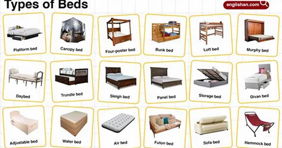What Is the Which Bed Are You Sleeping in Song the Viral