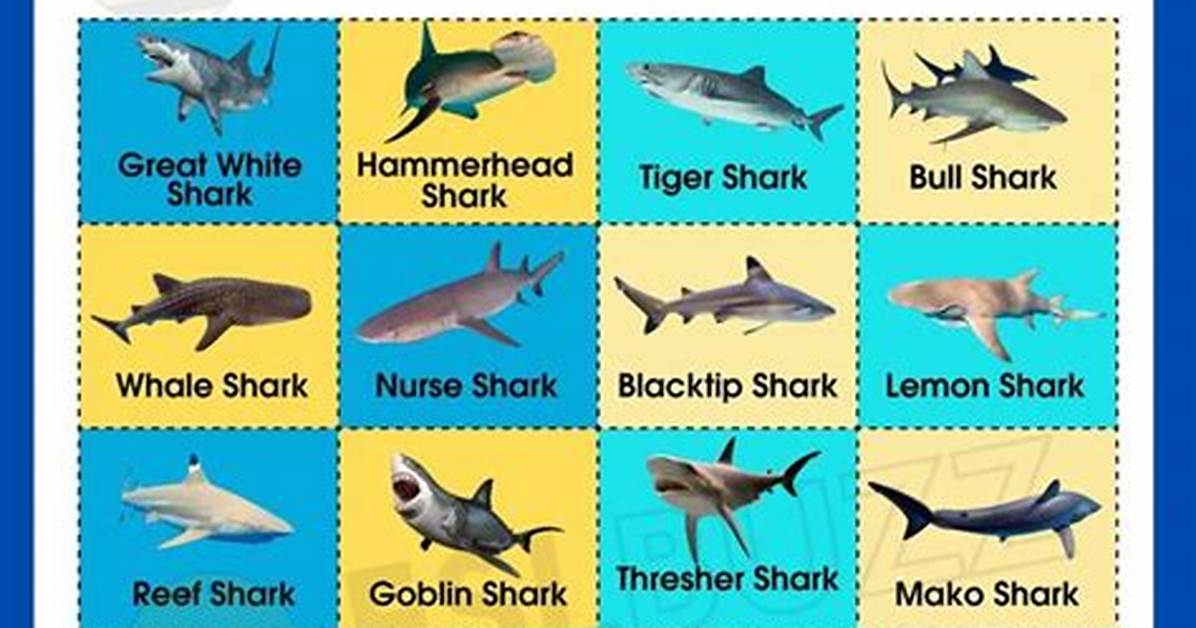 What Species Are the Fish in Shark Tale Breaking Down Real