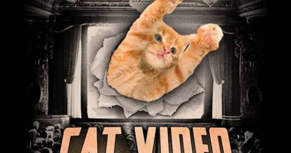 When Felines Make Headlines Chronology of the Most Bizarre Prison Cat