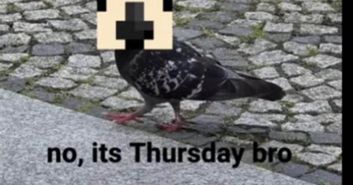 Where Did No It S Thursday Bro Come from the Viral Meme Taking Over