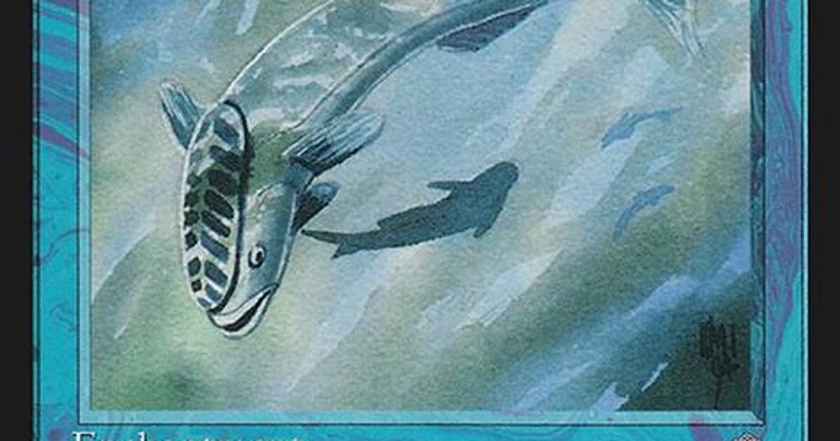 Where Does Mystic Remora Land In