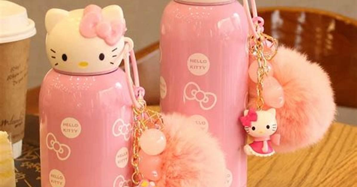Where to Buy Hello Kitty Water Bottles and the Best