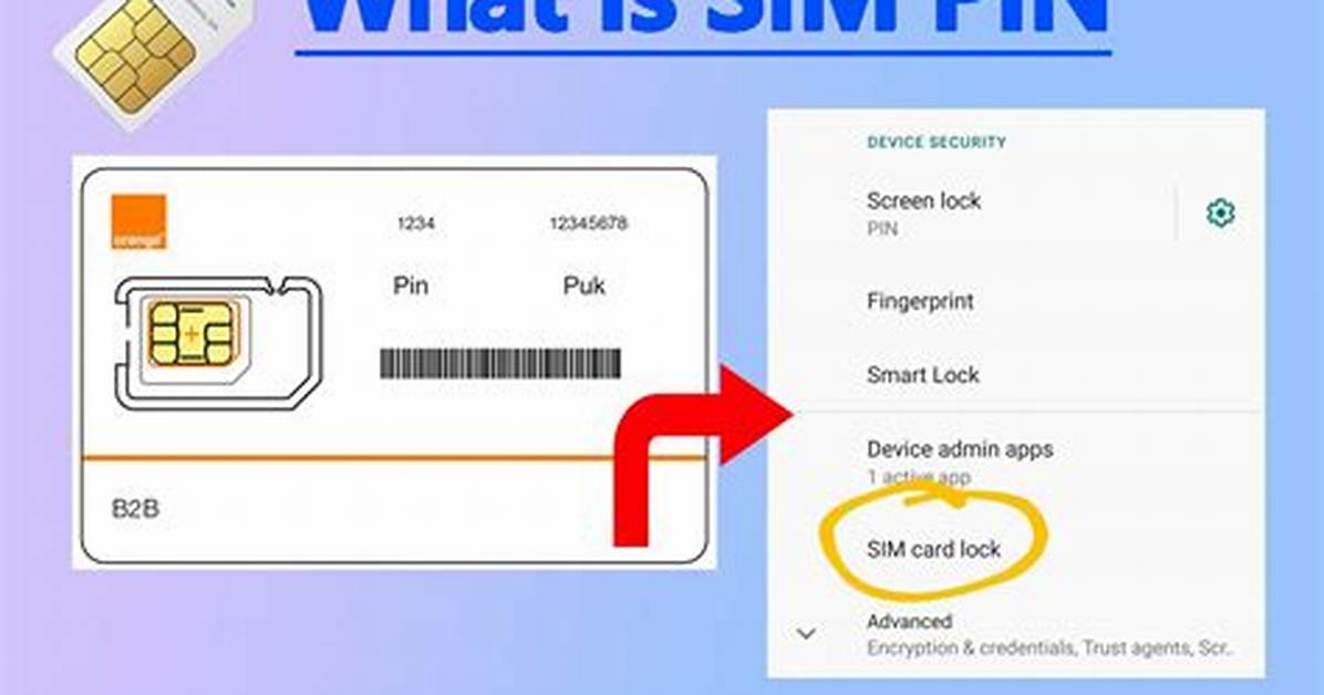 Where to Find the Pin on a Five Below Gift Card Step By