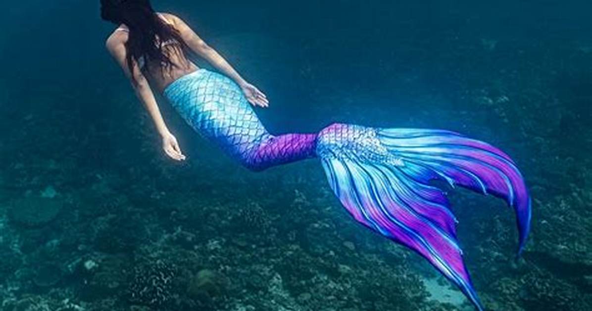 Where You Can See Real Mermaids the Legend of Florida S Weeki