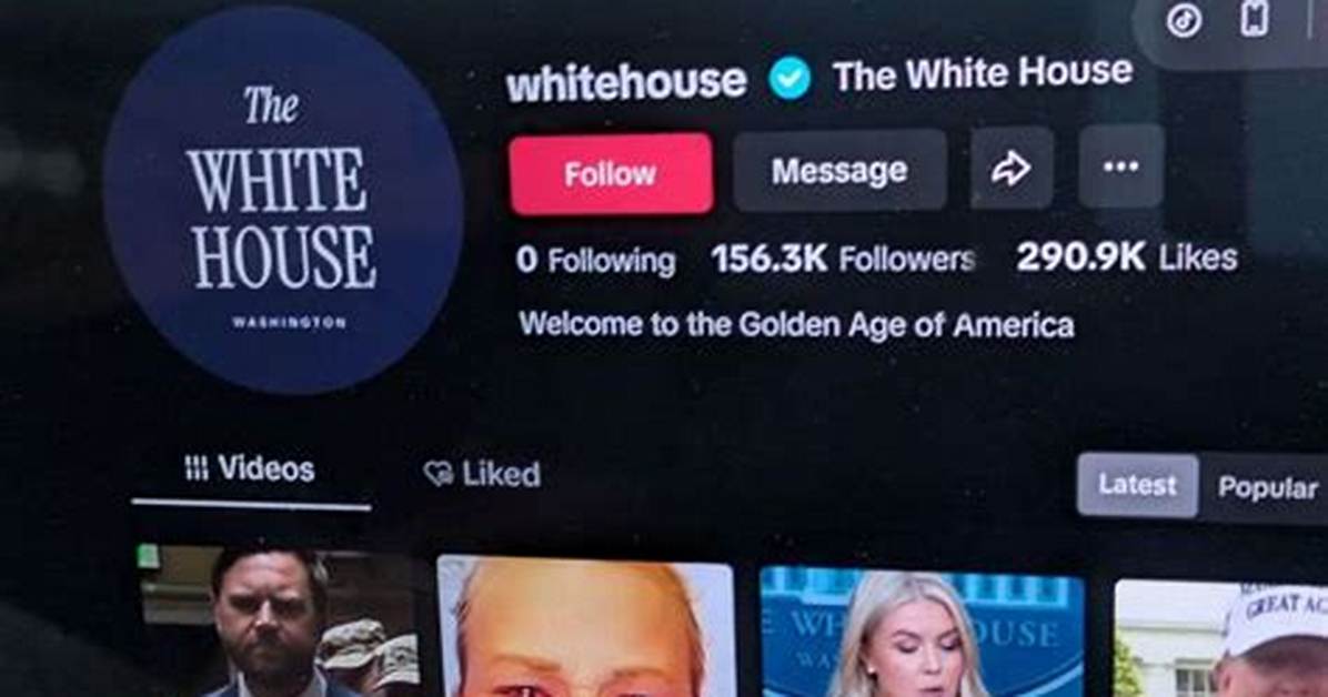 White House Tiktok Music Controversy Complete Timeline from Taylor Swift To