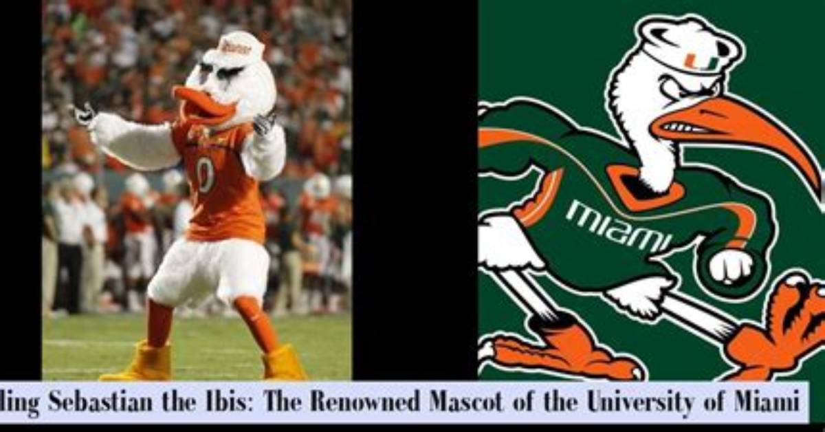 Who Is Sebastian the Ibis the Ultimate Guide to the Miami Hurricanes Mascot And