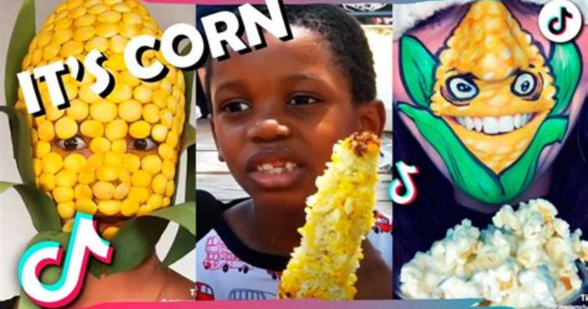 Who Made the It S Corn Song Unpacking the Team and Ethics Behind The