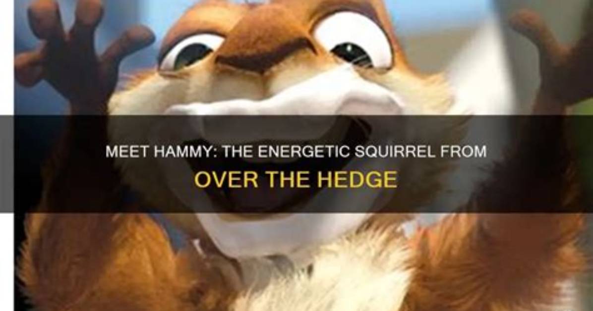 Who Played the Hyperactive Squirrel in over the Hedge Steve Carell S Unhinged