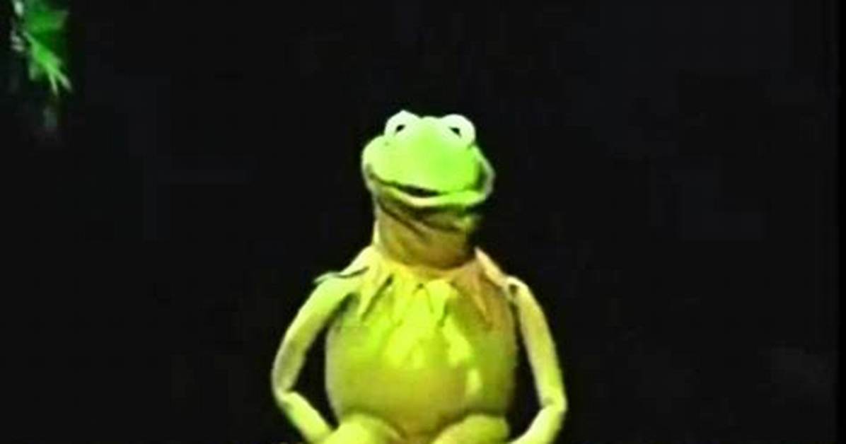Who Voices Mr Frog Unmasking the Mind Behind the Unhinged Smiling