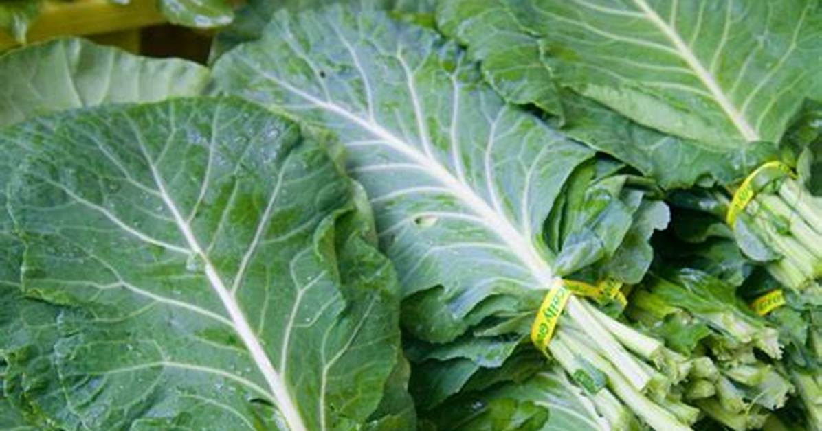 Why Axing Collard Greens And