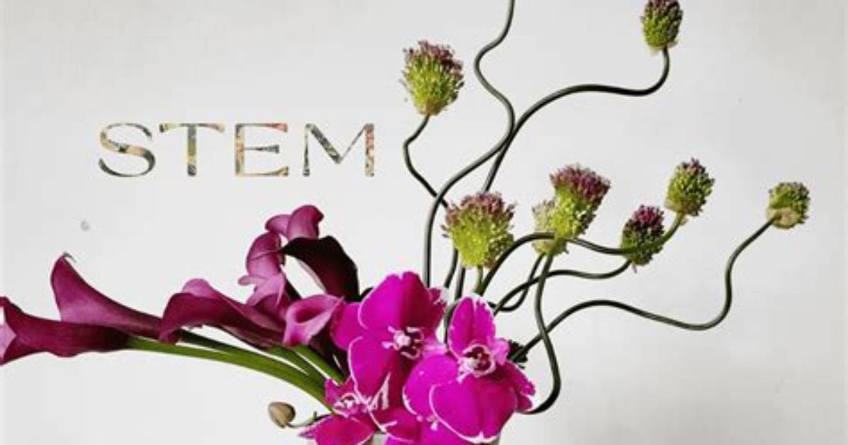 Why Chenille Stem Botany Is Taking over Diy Inside the Hibiscus