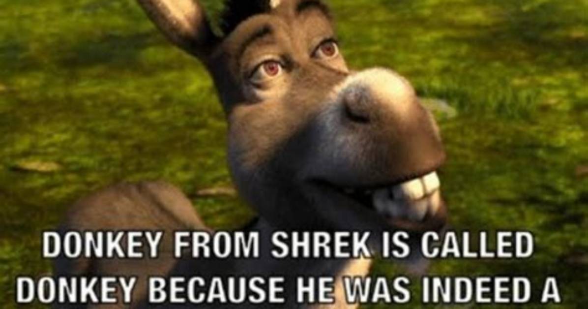 Why Donkey Memes Still Dominate the Internet 25 Year S After Shrek S