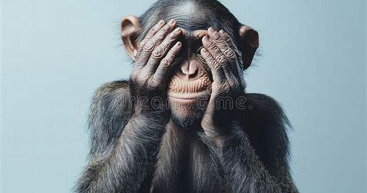 Why Everyone Pairs the Monkey Covering Eyes Emoji with Thanks In