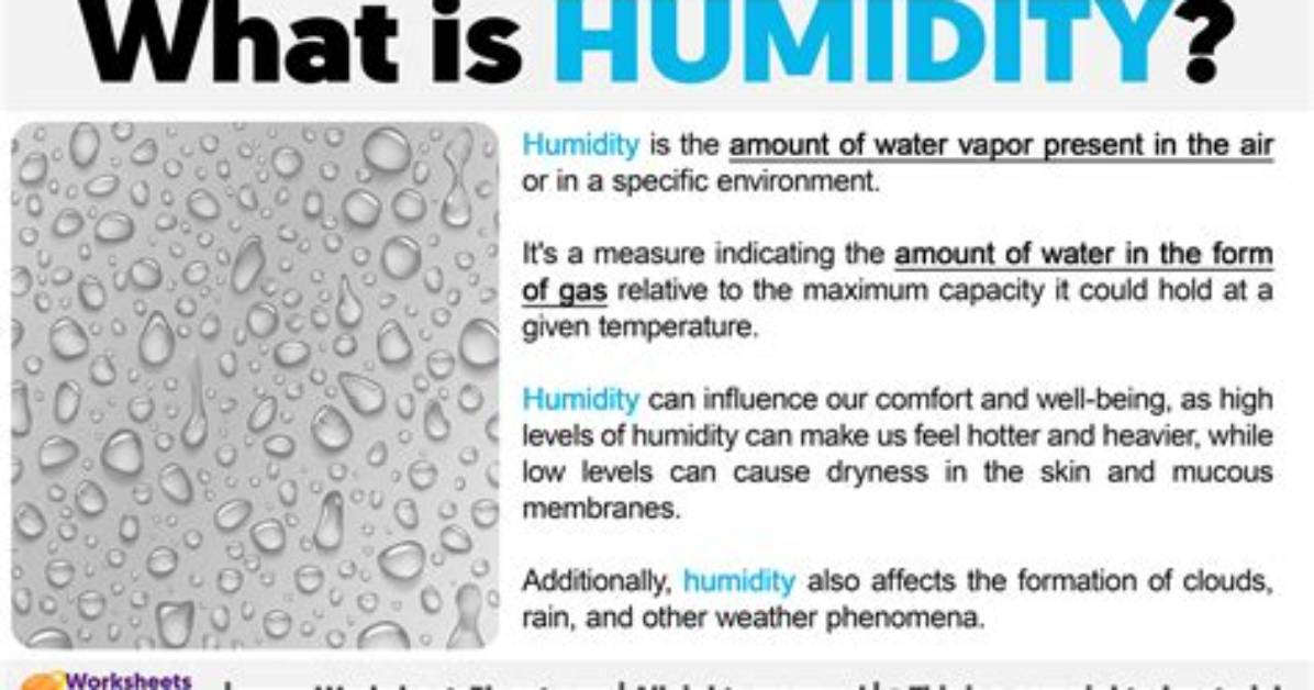 Why Humidity Is the Enemy the Untold Reality Behind Black Hair And