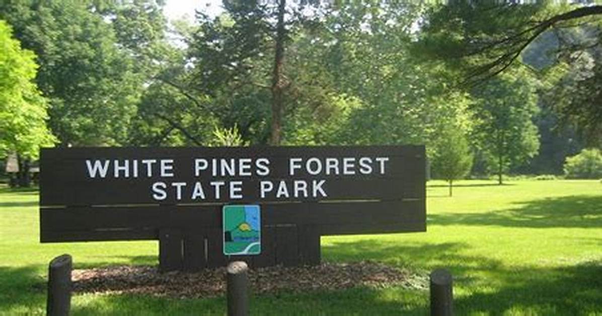 Why Illinois Travelers Call White Pines Forest State Park the Midwest S