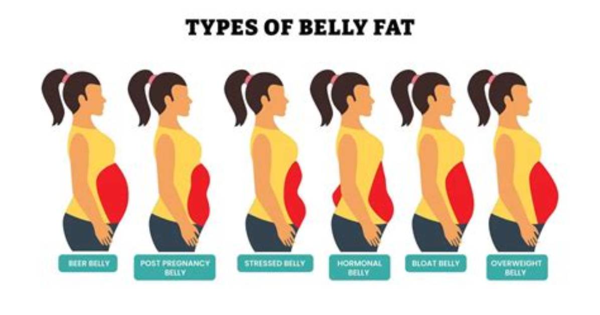 Why Is Your Belly Round and Hard the Hidden Cortisol Surge Doctors