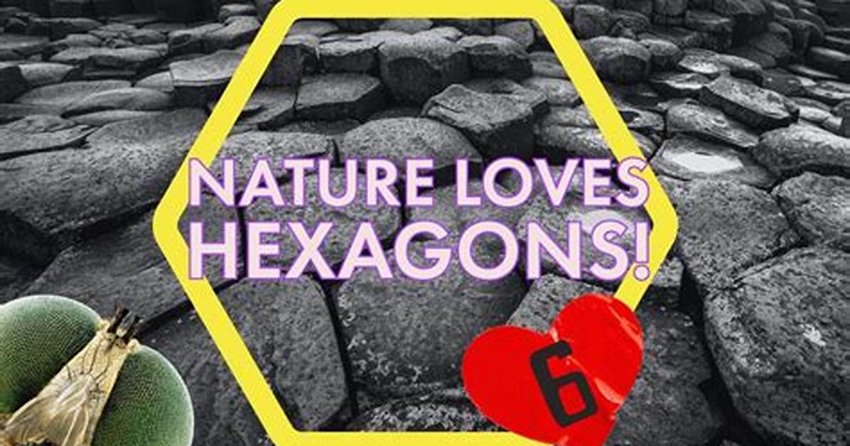 Why Nature Loves 720 Degrees the Hidden Math Behind the Universe S