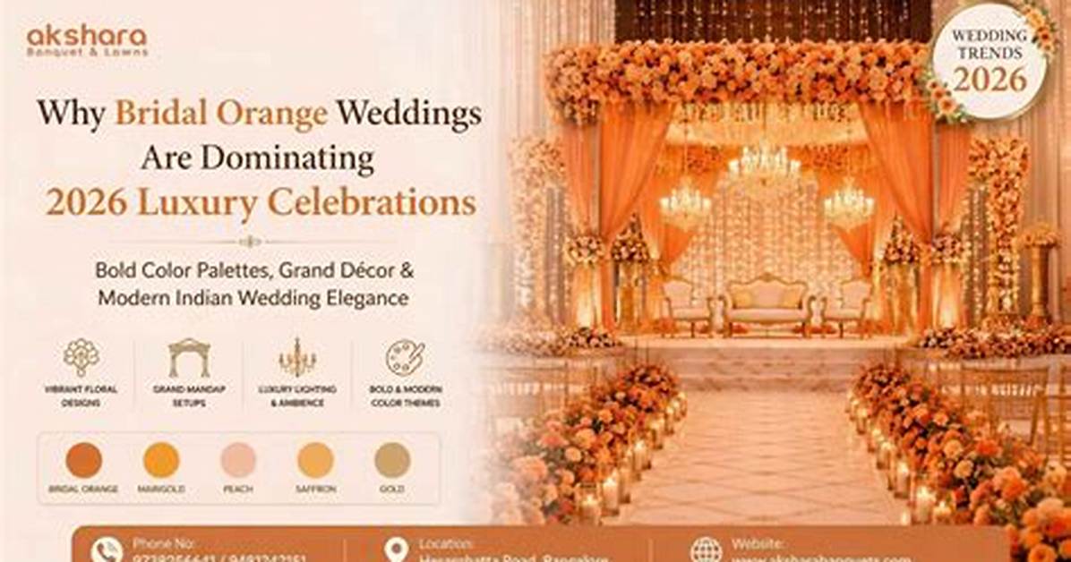Why Orange Draw Is Dominating Feeds from Montana Tennis Triumphs to Viral