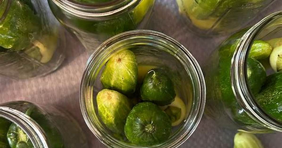Why Pickle Is Suddenly Trending Across Spain from Tapas Jars to Ppa