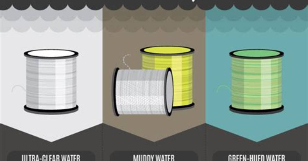 Why Pro Anglers Are Ditching Monofilament How to Fish Braid For