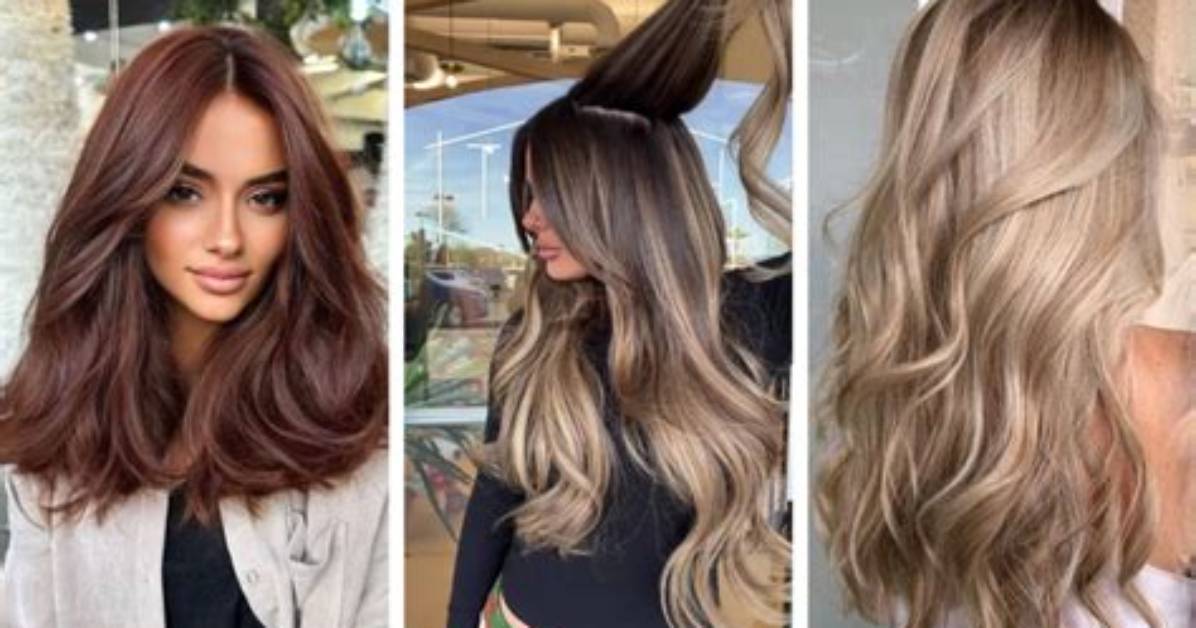 Why Salon Stylists Swear by 4Cb Shades Eq for the Viral Spiced