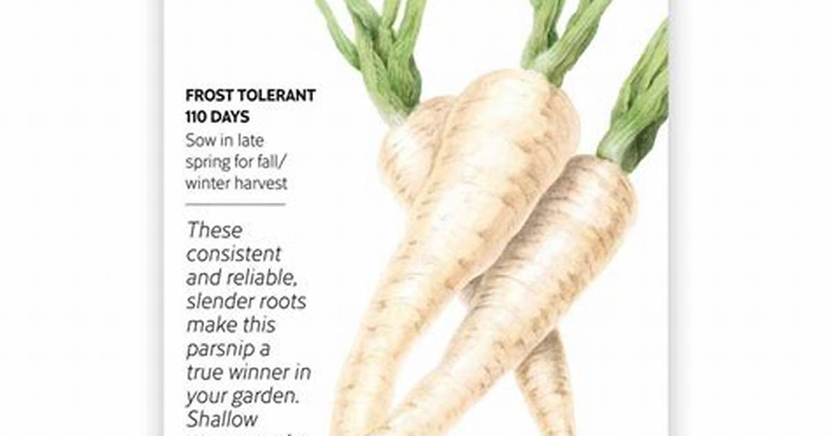 Why Selling Your First Parsnip Crop in Stardew Valley Might Ruin Your