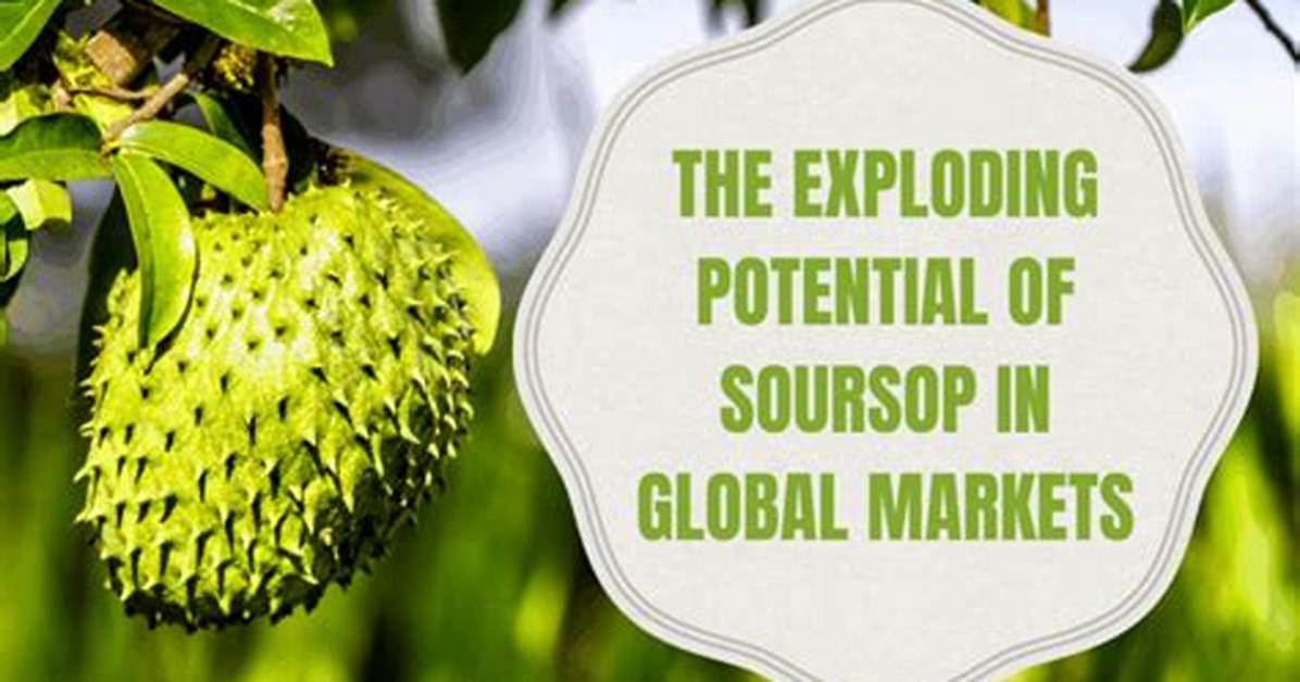 Why Soursop Bitters Searches Are Exploding