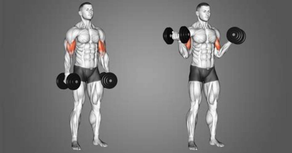 Why Standard Bicep Curls Might Be Leaving Your Forearm
