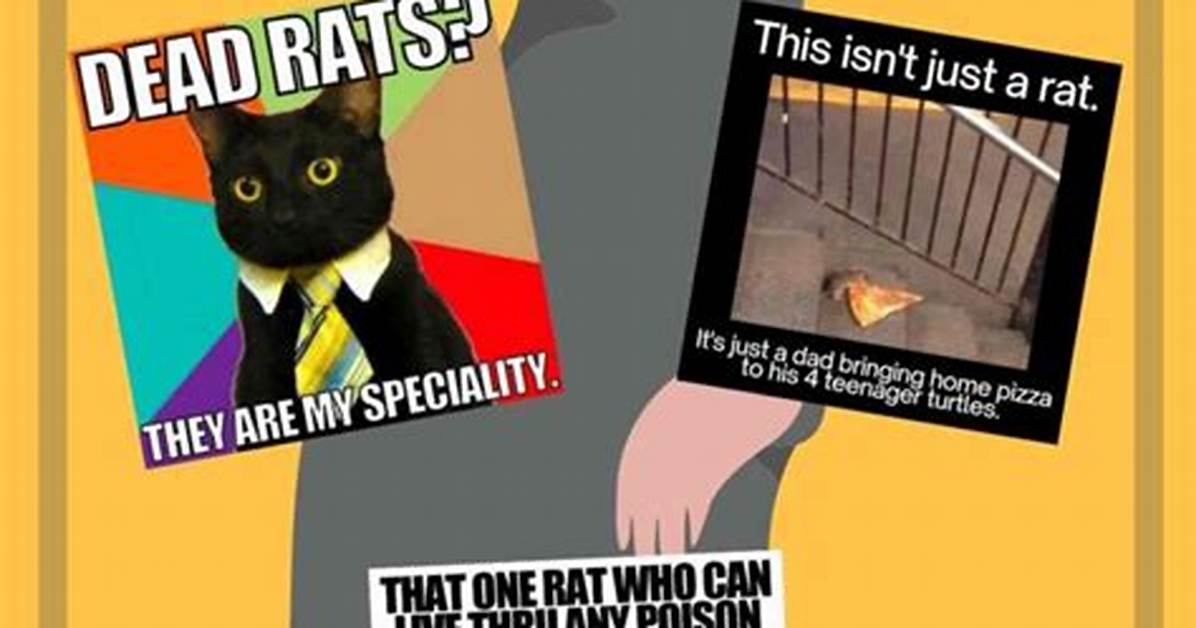 Why the Rat Eating Meme Took over Social Media and Sparked