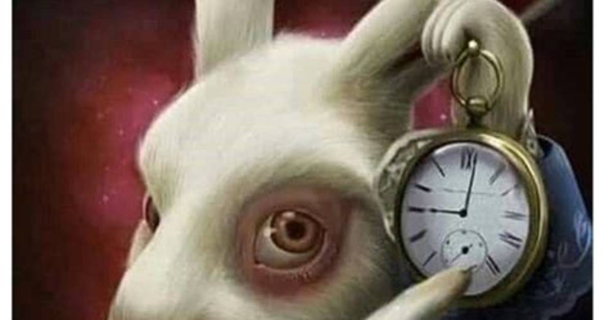 Why the White Rabbit Pointing at a Clock Is Taking over Your Feed the Viral Panic