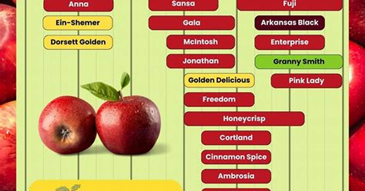 Why This Season S Apple Harvest Is Delivering An