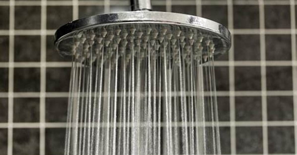 Why Viral Filtered Shower Heads Might Actually Be Making Your