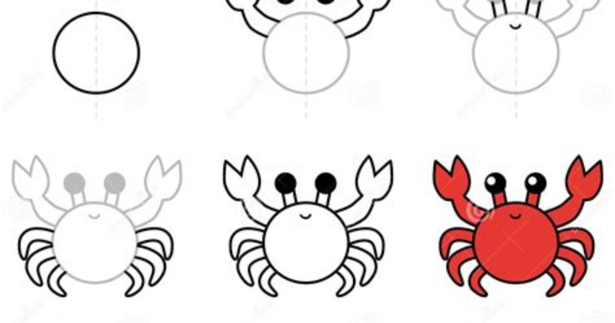 Why You Are Drawing Crabs All Wrong the Carapace and Leg
