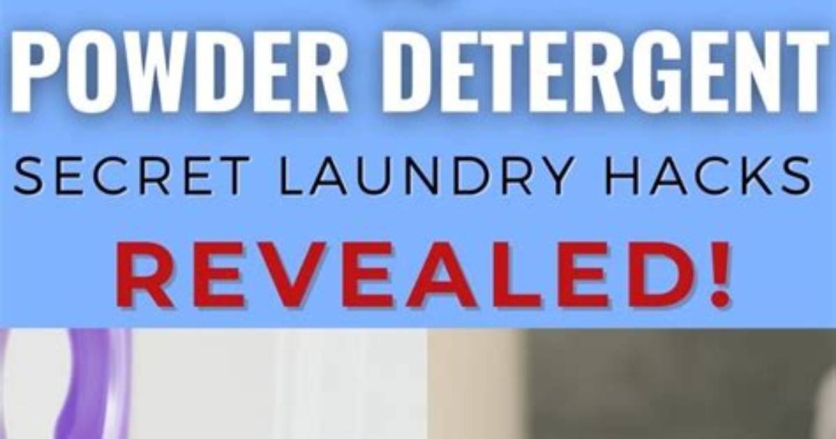 Why Your Detergent Fails the Secret Behind the Best Laundry