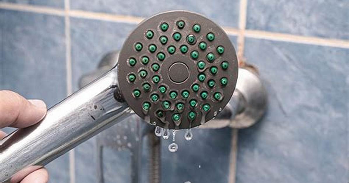 Why Your Shower Head Won't Budge: the Hidden Danger of Forcing It
